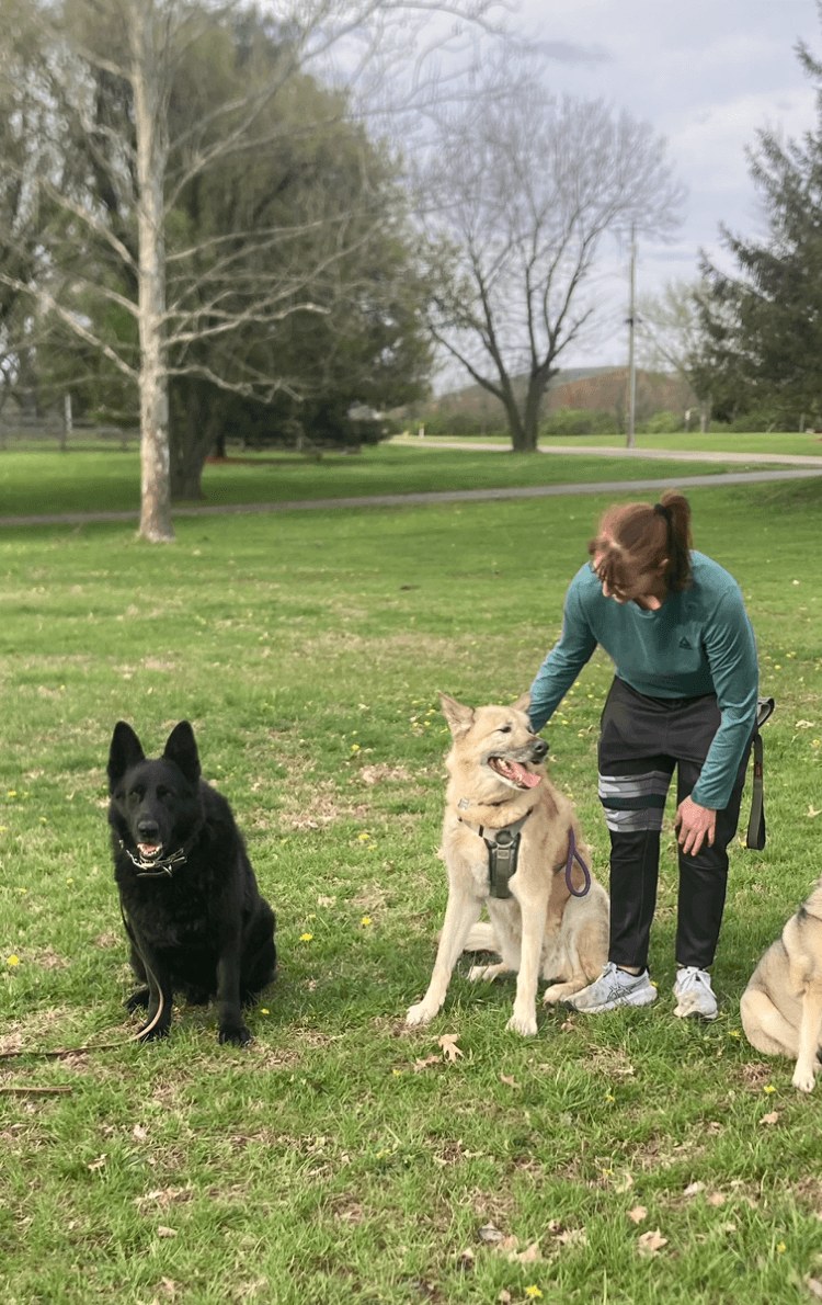 Eric working one-on-one with dogs during a real-world park training session