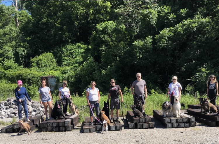 Owners and their dogs standing on outdoor training platforms during a group class