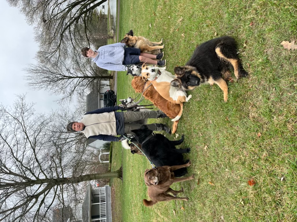Trainer giving a hand signal to a focused dog
