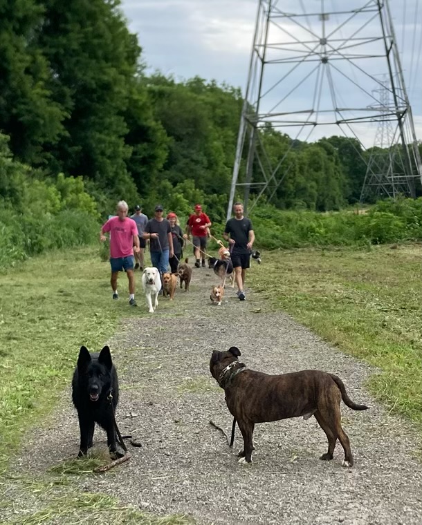 Owners running with their dogs in a workout class